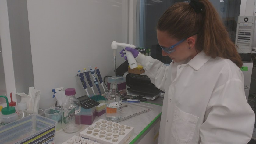 IMG_20160524_152430931